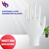 Disposable Latex Exam Gloves